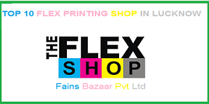 Top 10 Flex Printing Shop in Lucknow